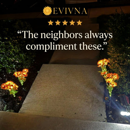 EVIVNA Sunglow™
